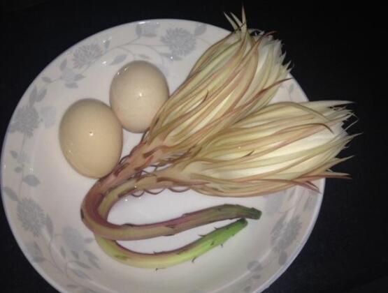 新鮮曇花怎么吃，泡茶喝最為簡單食用(價值高)