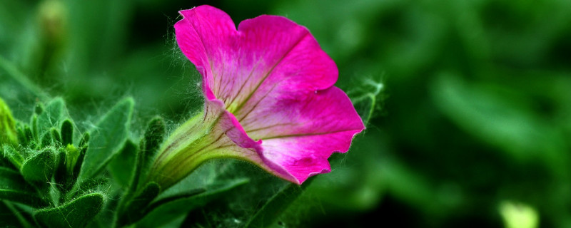 牽?；ㄊ窃趺赐吓赖? data-yeIN=