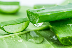 蘆薈美容的方法，如何正確使用蘆薈美容