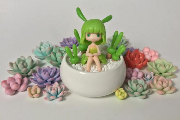 碧光環(huán)怎么種植，4步即可完成碧光環(huán)的種植