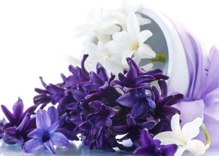 風(fēng)信子土培的養(yǎng)殖方法，要從土壤等5個(gè)方面注意