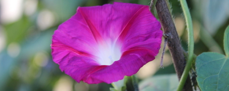 牽?；ǘ炜梢圆シN嗎