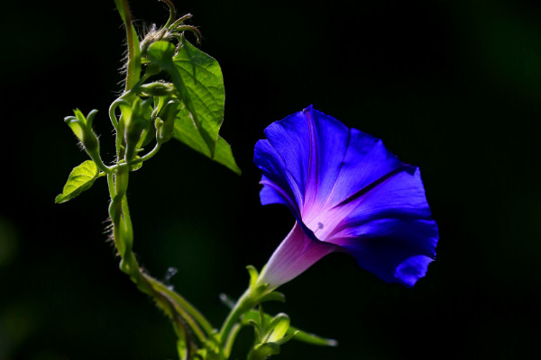 牽?；ㄇ锾鞎?huì)死嗎