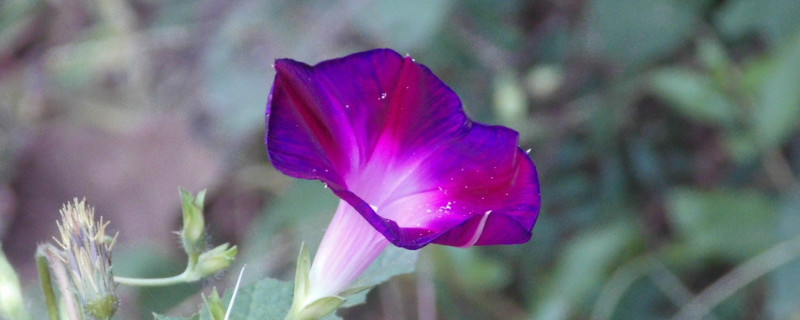 牽?；ㄓ惺裁醋饔? data-1seU=