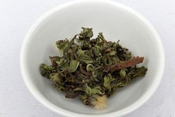 蒲公英泡水喝的禁忌，蒲公英泡水四大禁忌