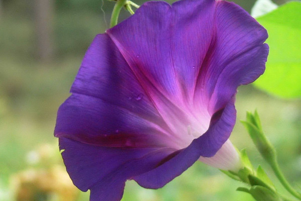 牽?；茉陉柵_上種么