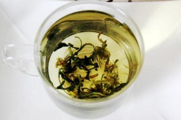 蒲公英泡水喝的禁忌，蒲公英泡水四大禁忌