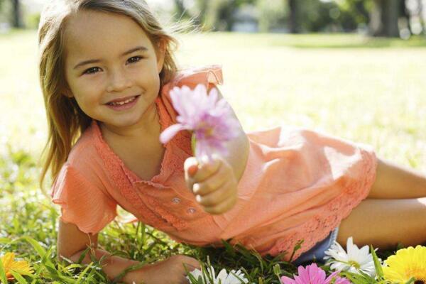 斑馬葉萬年青有毒嗎，可以在室內(nèi)養(yǎng)殖但要小心謹慎（有毒）