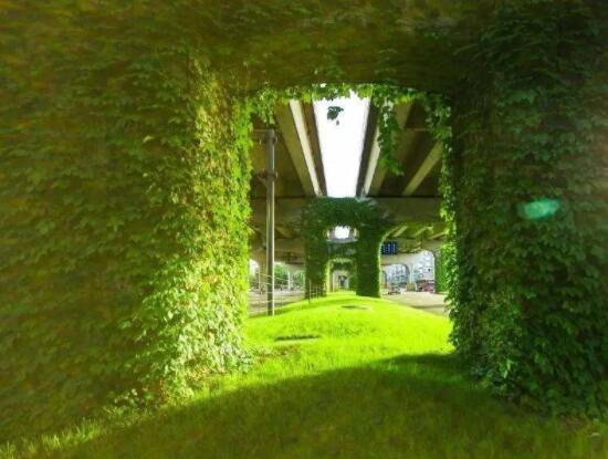 爬山虎和常春藤怎么區(qū)分，盤點(diǎn)三種區(qū)別方法(屬性/株型/生長(zhǎng)習(xí)性)