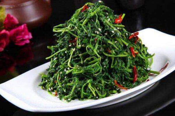 蒲公英怎么吃，涼拌、炒菜、煲湯