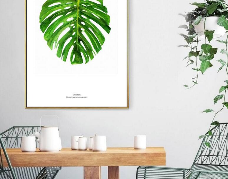 龜背竹放客廳風(fēng)水好嗎，對(duì)事業(yè)有助/對(duì)愛情有削弱的作用