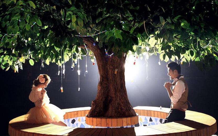 幸福樹的葉子全蔫了，從4個方面解決出現(xiàn)的問題