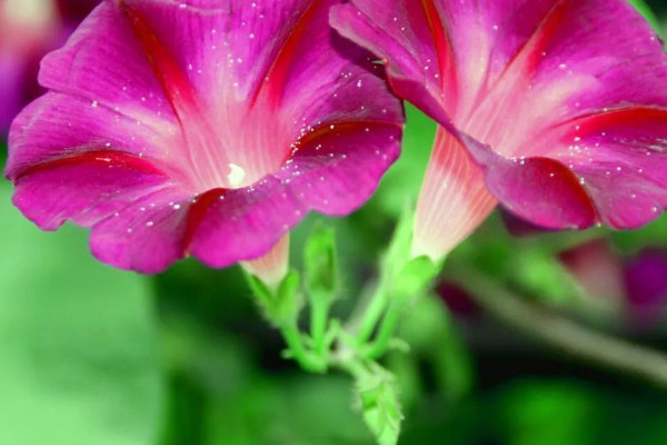 牽?；ㄏ矚g水嗎