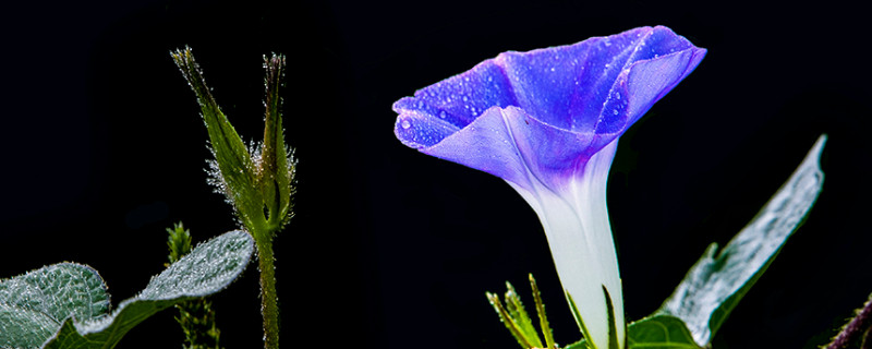 牽?；萘嗽趺崔k