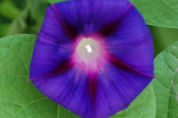 牽?；ㄏ矚g水嗎