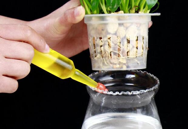 一帆風(fēng)順用什么營養(yǎng)液，濃縮型營養(yǎng)液（發(fā)芽多發(fā)枝快）