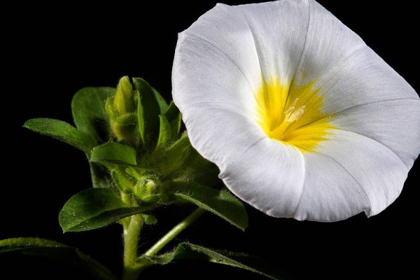 牽?；茉陉柵_上種么