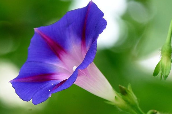 牽?；ㄒ圃院笮氯~變干怎么辦