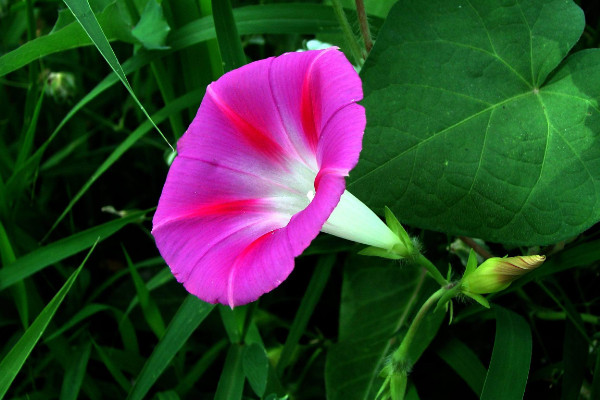 牽?；ㄇ锾鞎?huì)死嗎