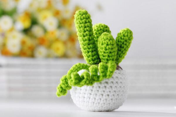 仙人掌的盆栽方法，5種方法讓你的仙人掌可愛多多