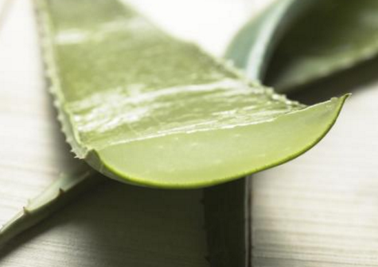 蘆薈有什么營(yíng)養(yǎng)，富含膳食纖維、礦物質(zhì)(維生素豐富)