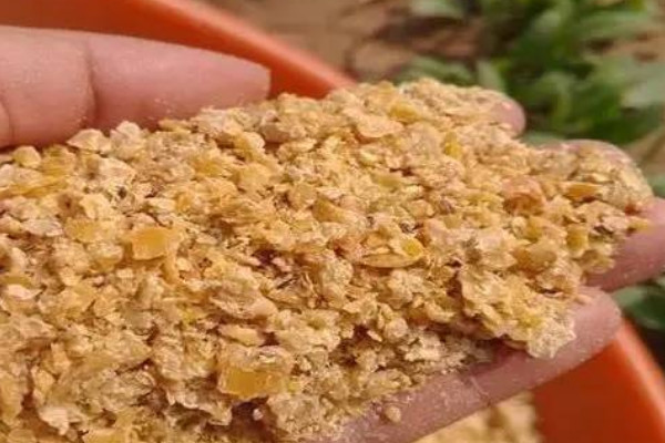 豆粕和豆餅哪個喂養(yǎng)好