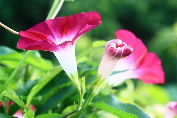 牽?；ńY(jié)果了怎么辦