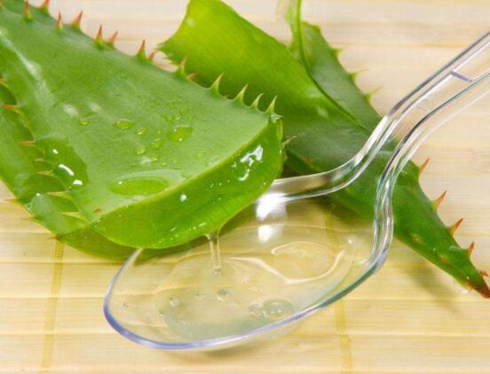 蘆薈美容正確使用方法，教你最實(shí)用的五種好用法