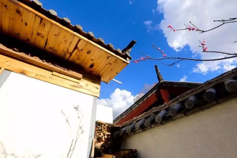 束河桃花塢，在茶馬古道浮生清閑陪父母慢慢變