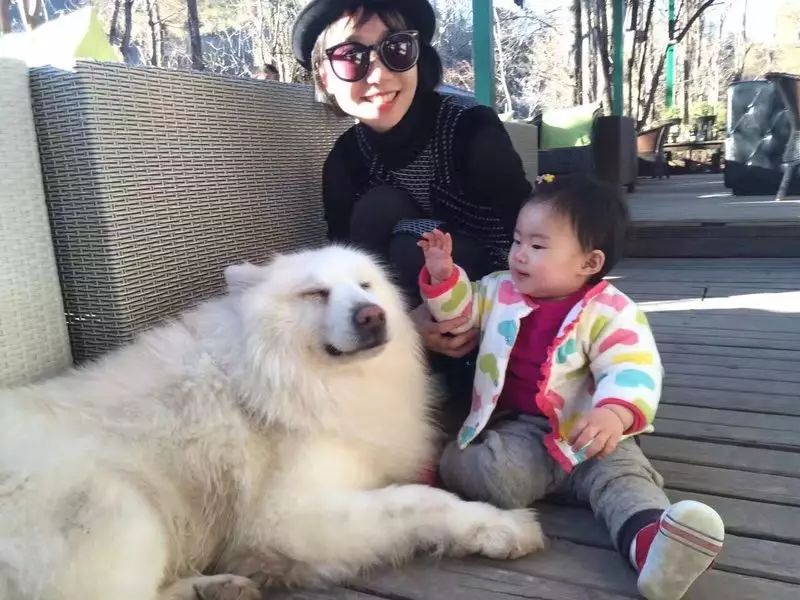 束河桃花塢，在茶馬古道浮生清閑陪父母慢慢變