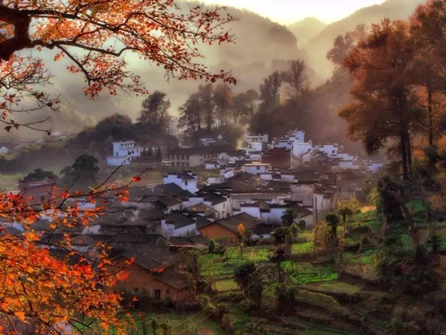 8家黃山腳下最美民宿，在青山田野享受歸園田居