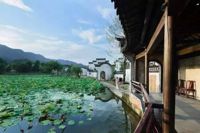 8家黃山腳下最美民宿，在青山田野享受歸園田居