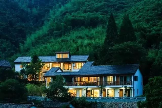 梧桐小筑，一幅靜靜舒展的水墨畫卷