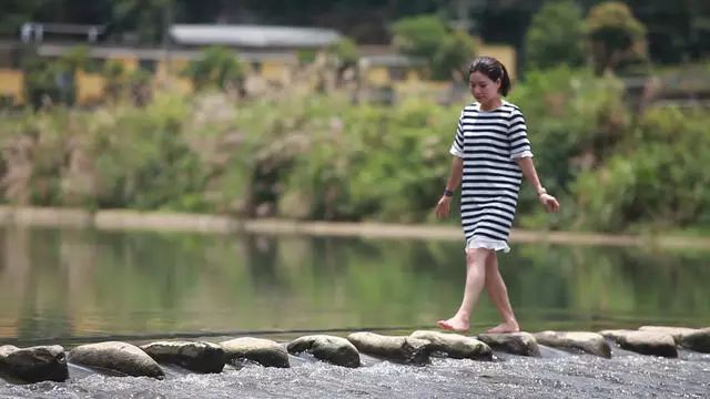 梧桐小筑，一幅靜靜舒展的水墨畫卷