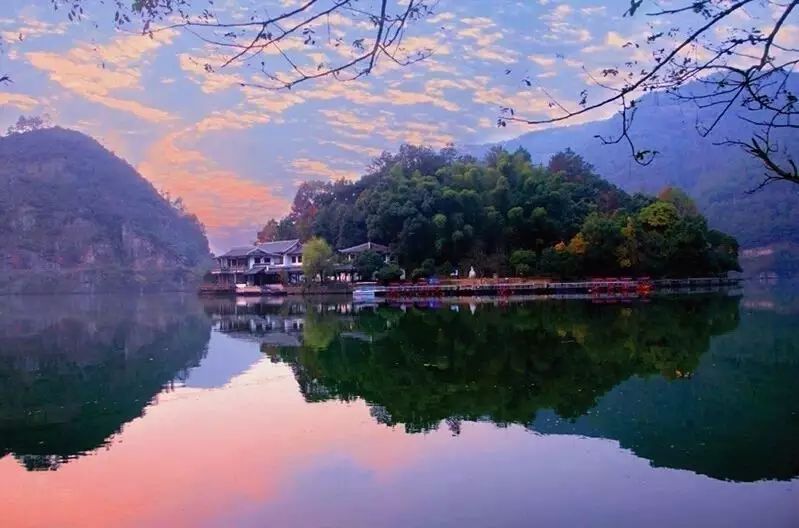 梧桐小筑，一幅靜靜舒展的水墨畫卷