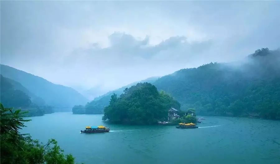 梧桐小筑，一幅靜靜舒展的水墨畫卷