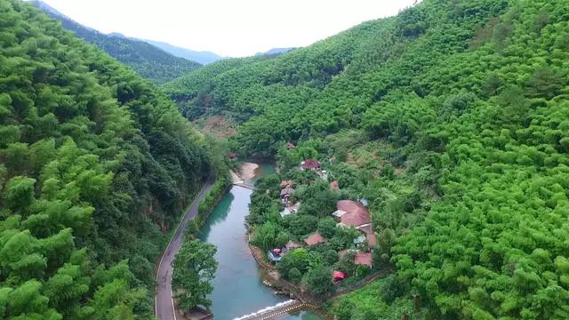 梧桐小筑，一幅靜靜舒展的水墨畫卷