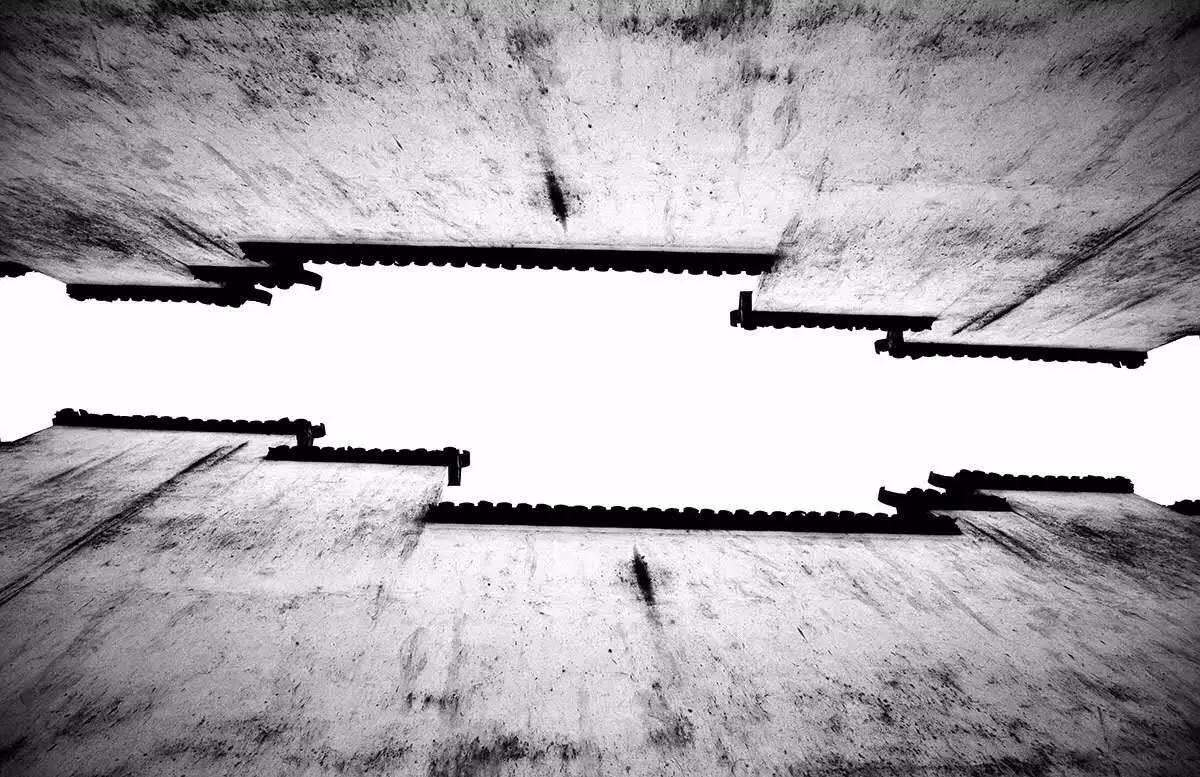 梧桐小筑，一幅靜靜舒展的水墨畫卷