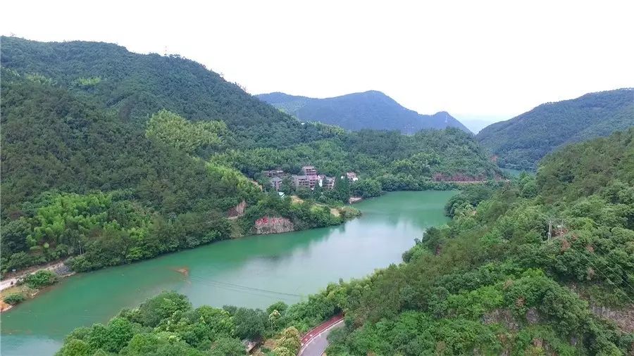 梧桐小筑，一幅靜靜舒展的水墨畫卷