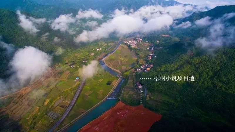 梧桐小筑，一幅靜靜舒展的水墨畫卷