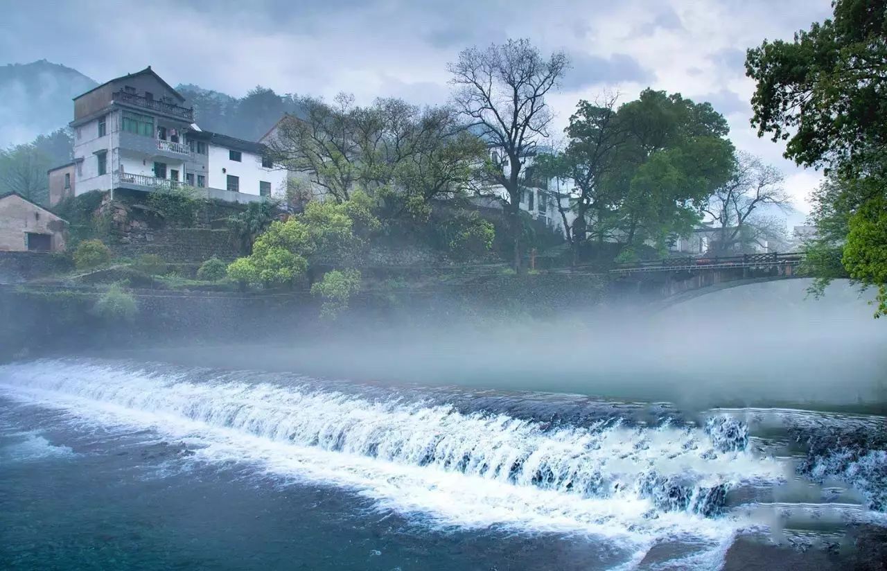 梧桐小筑，一幅靜靜舒展的水墨畫卷