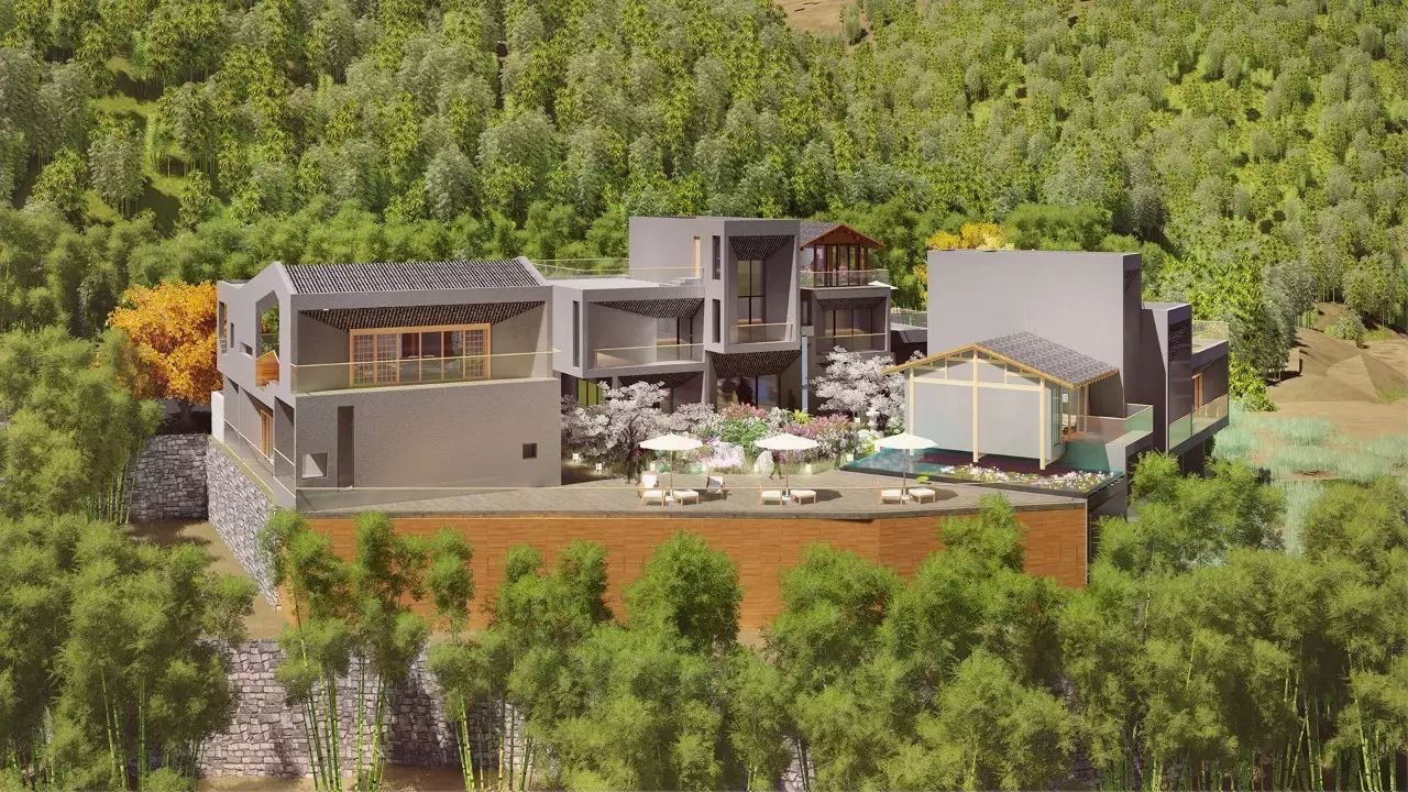 梧桐小筑，一幅靜靜舒展的水墨畫卷