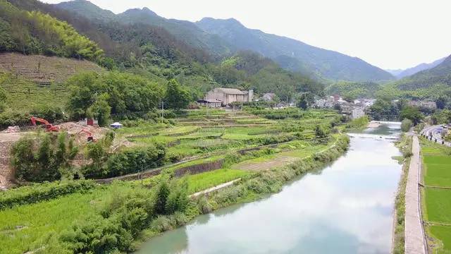 梧桐小筑，一幅靜靜舒展的水墨畫卷