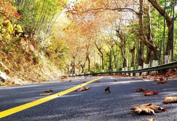 瓜洲云裳山村，春風(fēng)又綠江岸春