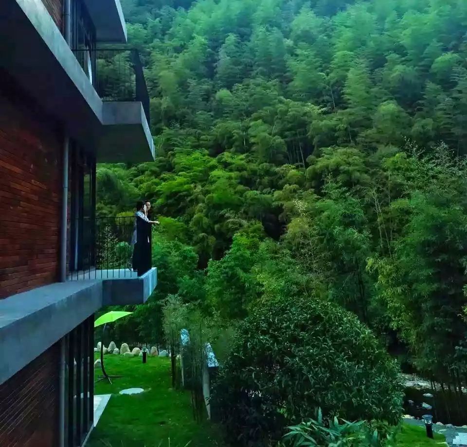 莫干山悠然九希，面朝竹海背向茶山的避暑圣地