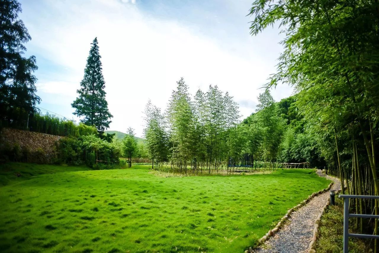 莫干山悠然九希，面朝竹海背向茶山的避暑圣地