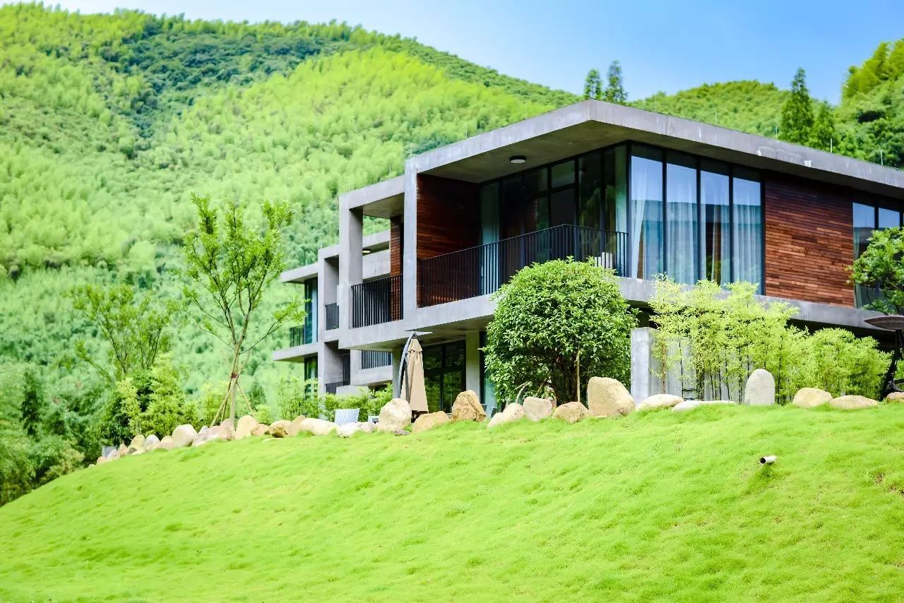 莫干山悠然九希，面朝竹海背向茶山的避暑圣地