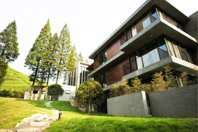 莫干山悠然九希，面朝竹海背向茶山的避暑圣地