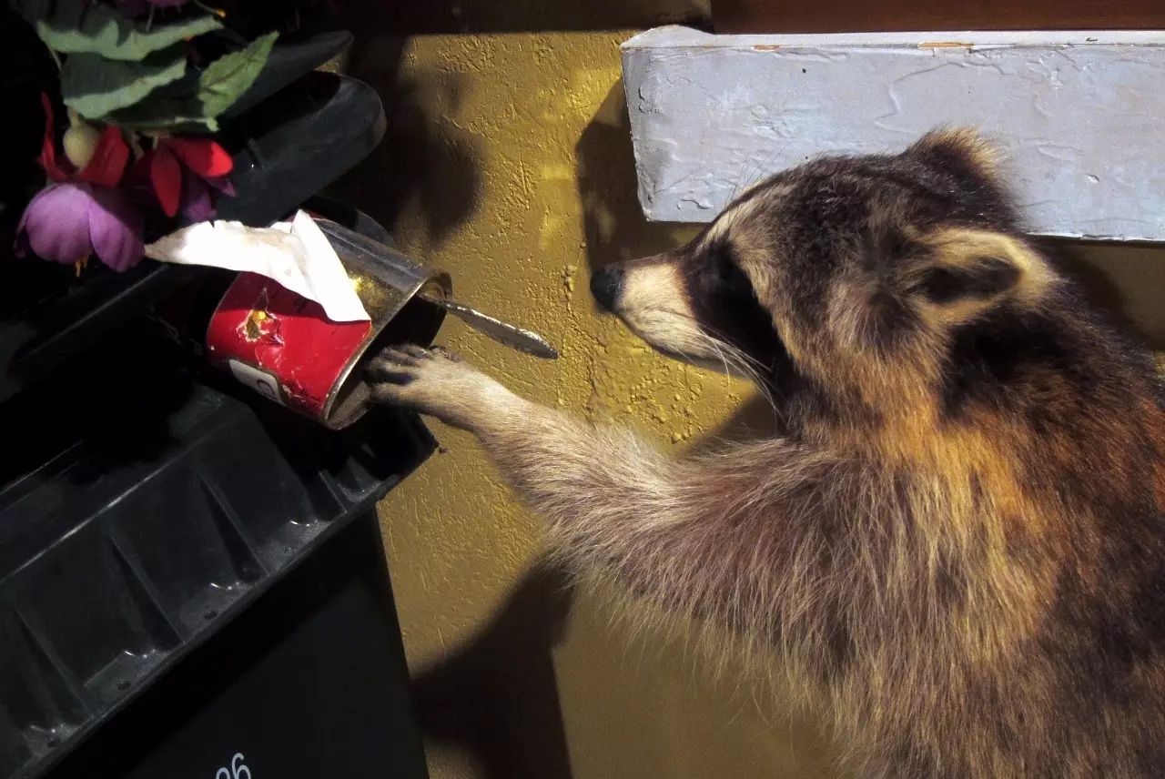 多村一號(hào)，在海外住進(jìn)小別墅慢條思理地生活