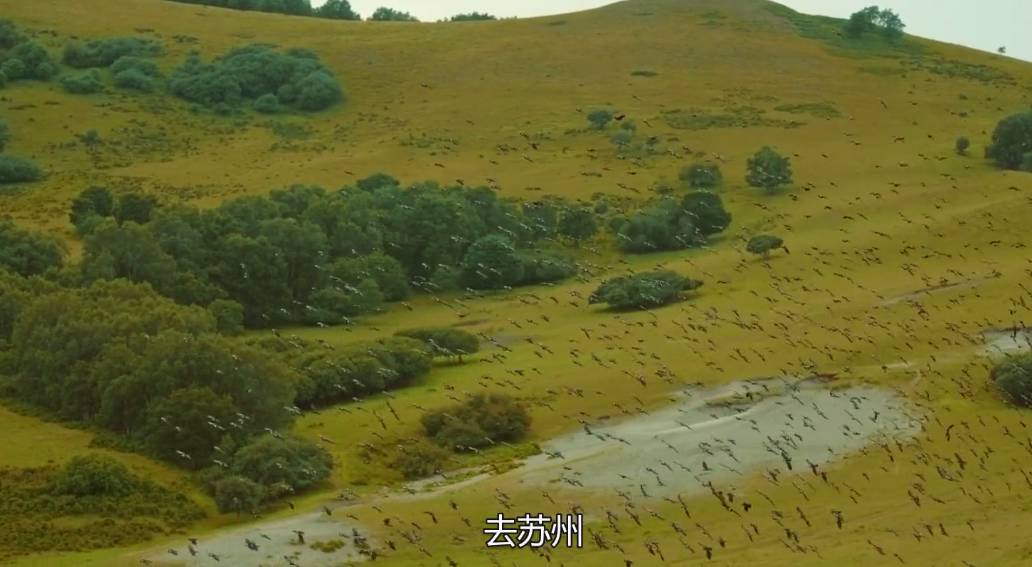 云棲·陌舍，在蘇州享受閑散古樸的生活氣息